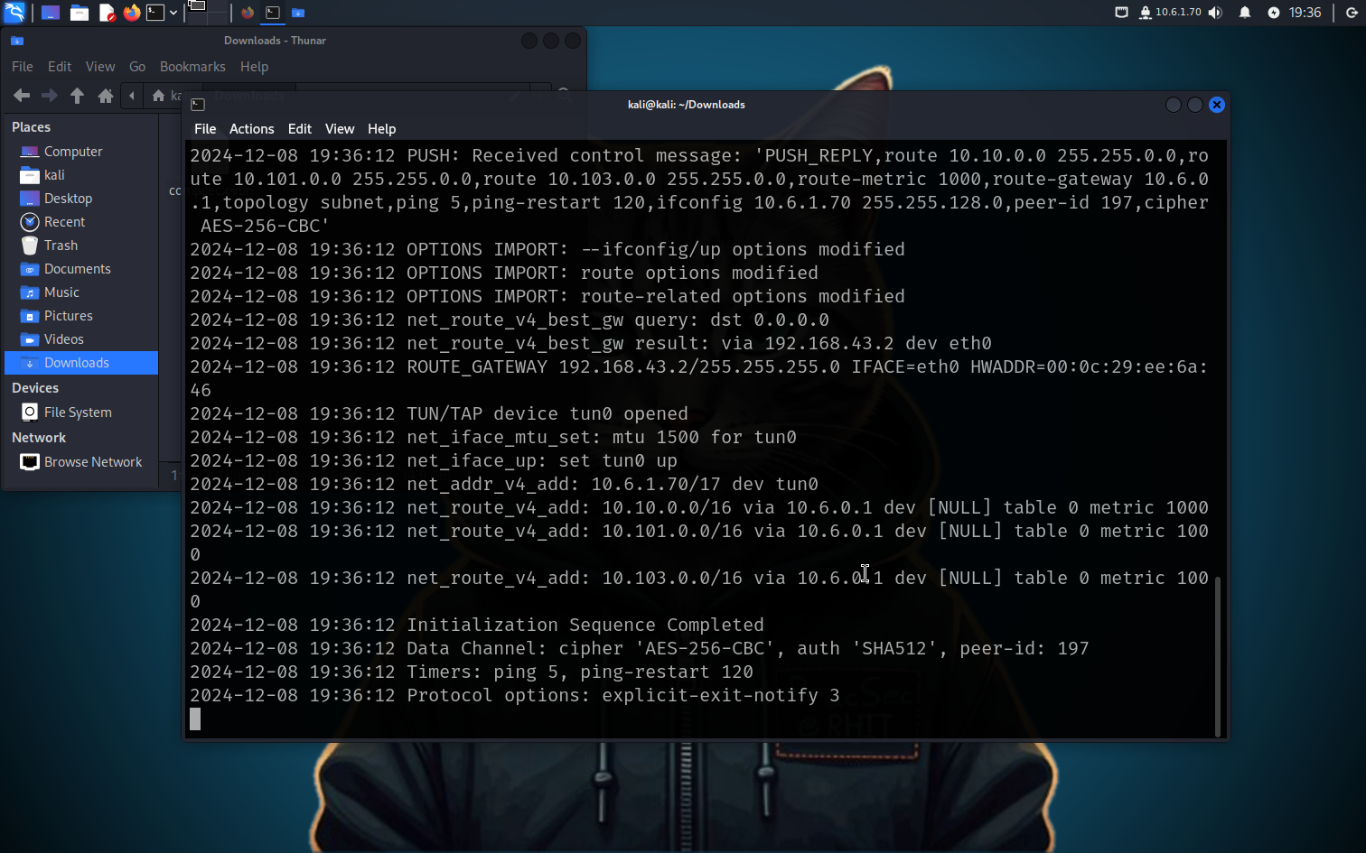 Screenshot of Kali Linux connected