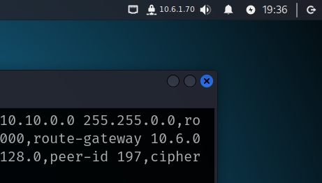 Screenshot of Kali Linux connected